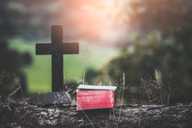Bible and cross outdoors on a log 