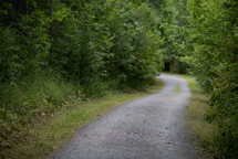 gravel road through the woods 