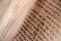 Hand-written Torah 