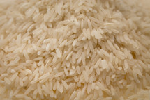 white rice background 