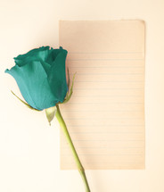 single rose and blank paper for a love letter