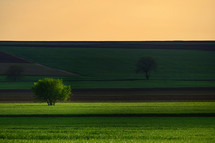 Spring Field in Macin Romania at Sunset