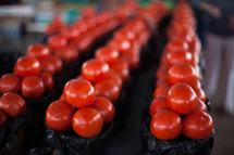 rows of tomatoes at a farmers market 