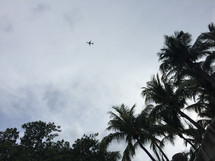 airplane in the sky over palm trees 