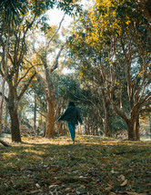 a person waking through a forest 