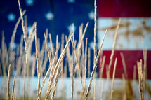 American flag behind stalks of wheat,
