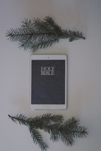 The Bible on an electronic tablet.
