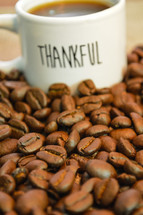 Thankful Coffee Mug Surrounded by Coffee Beans