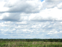 Gray and white clouds over forest on overcast summer day