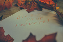 Bless Your Harvest