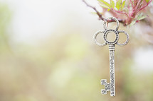 Silver key hanging from a twig.