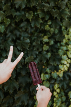 hands holding up popsicles 