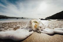 glass orb on a beach 