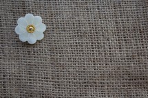 burlap background with white flower button 