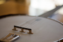 mandolin strings 