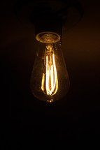 glowing filaments in an Edison bulb