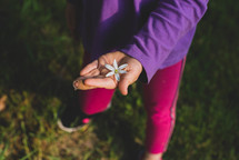 little girl holding a flower in her hand 