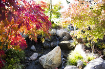 trickling water and red Japanese maple leaves 