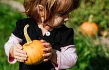 toddler girl holding a pumpkin 