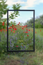 concept Wood Frame With Transparent Glass on Spring Field