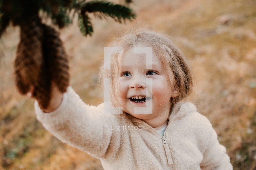 child picking pinecones from a pine tree
