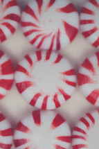 Close-up of peppermint candies lined up in a row.