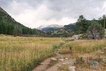 worn path up a mountainside 