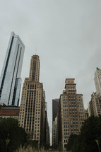 A row of very tall buildings.