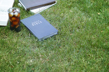 Small Group Bible Study in the Green Grass