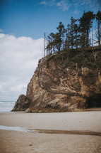 tall trees on a cliff by a shore 