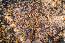 feet in flip flops standing in fall leaves 