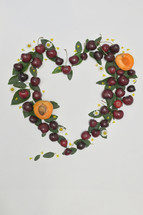 Summer Heart Frame With Ripe Red Cherries and Apricots