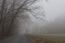 foggy rural road 