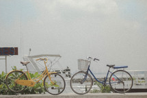bicycles parked in a harbor 