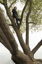 a man in a tree 