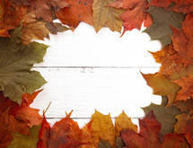 fall leaf border 