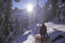 Hiking in the mountains and throughout the snowy forest with the dogs.