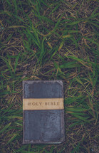 Holy Bible lying in grass 