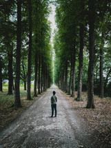a man standing on a tree lined dirt road 