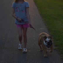 a little girl walking her dog at sunset 