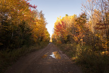 dirt road and fall forest 