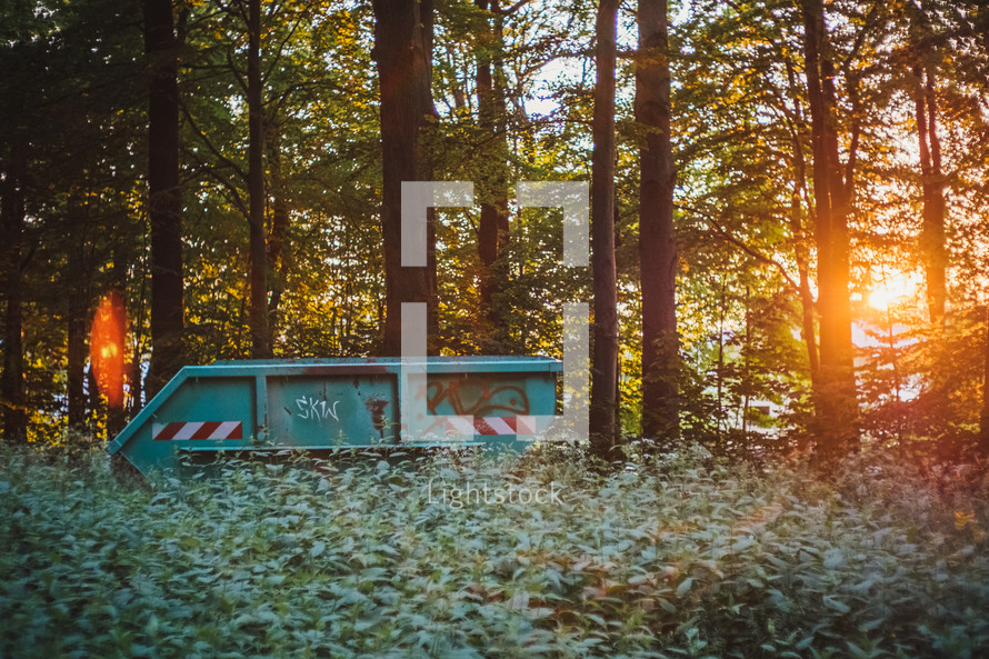 dumpster in a forest 