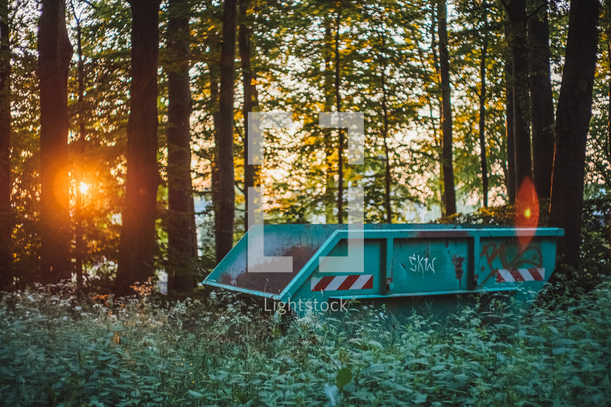 dumpster in a forest 