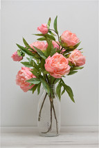 Beautiful Pink Peony Flowers in Vase