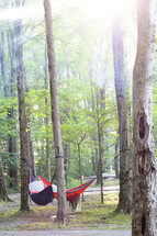 hammock under the trees in a forest