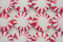 Peppermint candies lined up in a row.