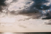 birds flying over the ocean under a cloudy sky 