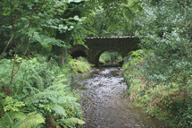 bridge over a stream in the woods 