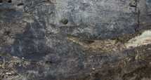 cracks in a rock