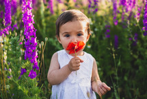 a toddler in a field of flowers 